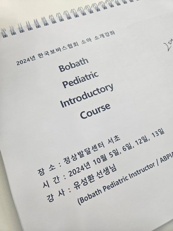 한국보바스협회 이미지
