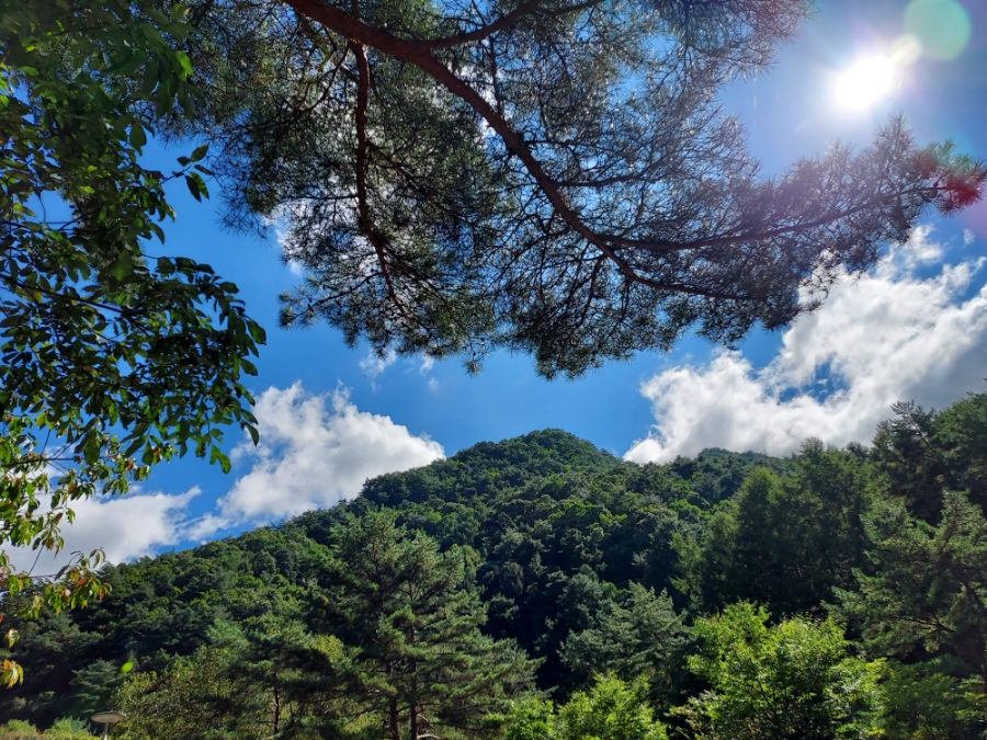 소백산국립공원 삼가천동코스 이미지