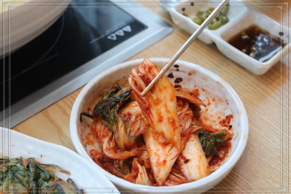 용궁조개 이미지