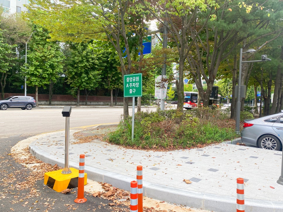 분당 중앙공원 주차 요금 및 강아지 산책 후기 — 사진 2