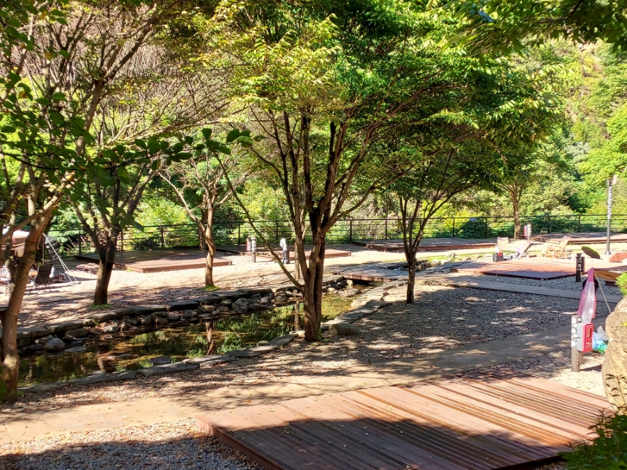 소백산국립공원 삼가천동코스 이미지