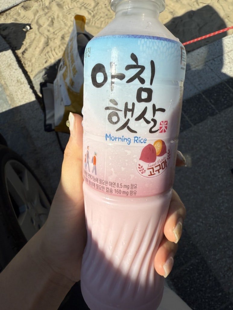 원산도 소록도 야영장 이미지