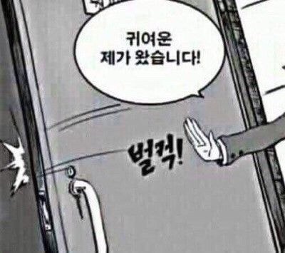 인제주카페 이미지