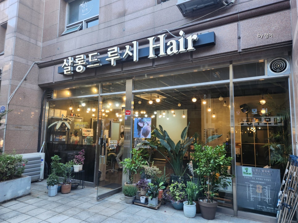 살롱드루시 이미지