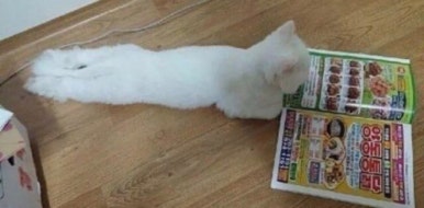 흠 이미지