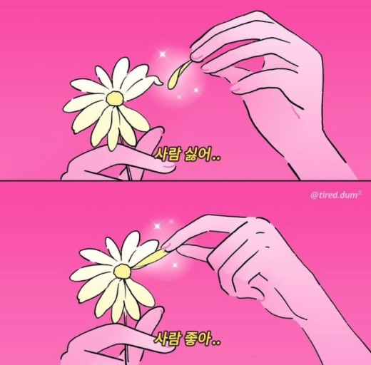 씨빌리지 이미지