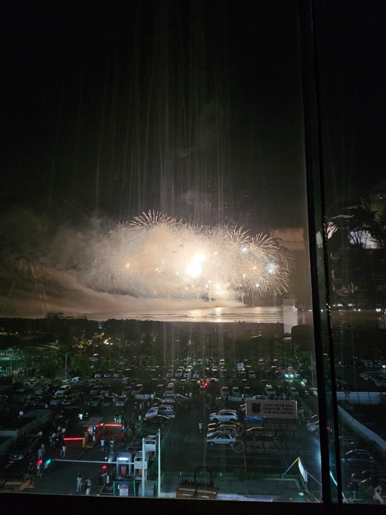 부산고양이까페나비정원 이미지