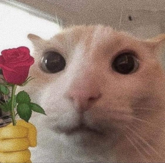위딧 이미지
