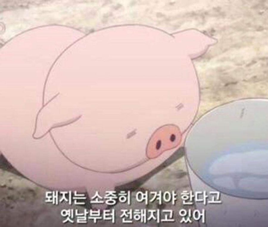 고기가맛있다 이미지