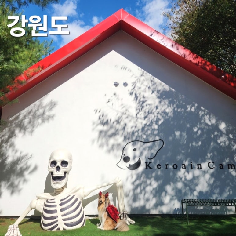 케로아인캠프 이미지