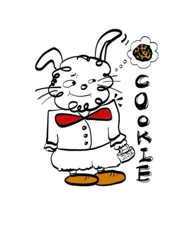 꾀꾀로 이미지