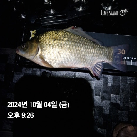 청천나들이 이미지