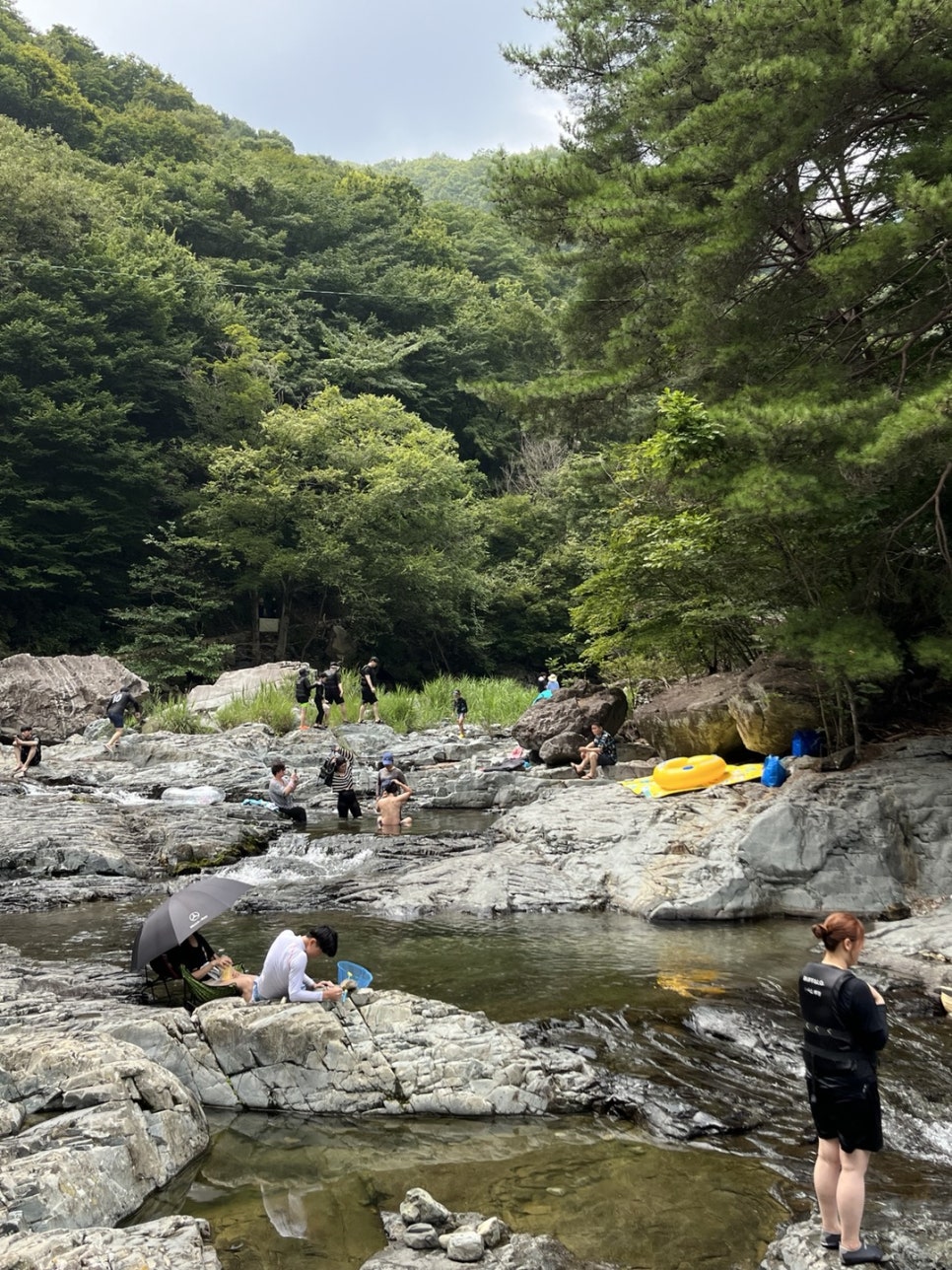 하늘직업소개소 이미지