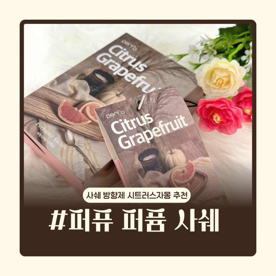 시트러스디자인 이미지