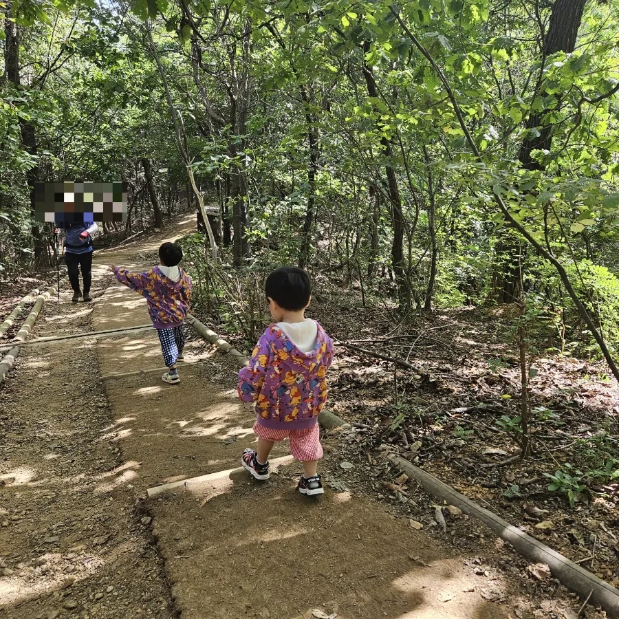 명일공원 유아숲체험원 이미지