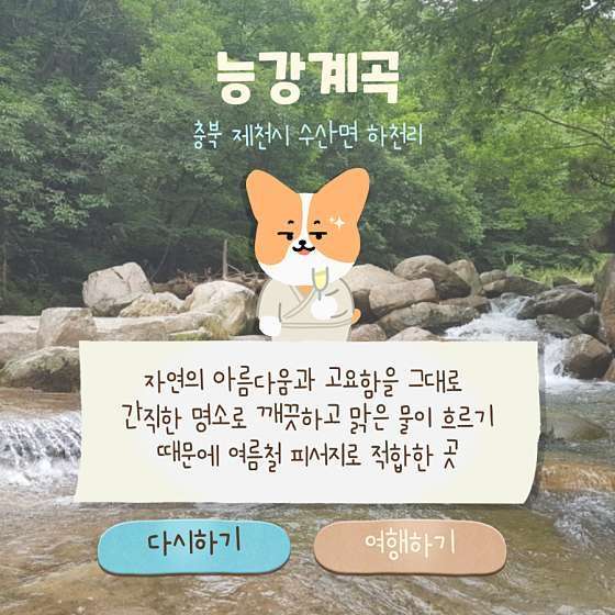 본정초코렛 이미지