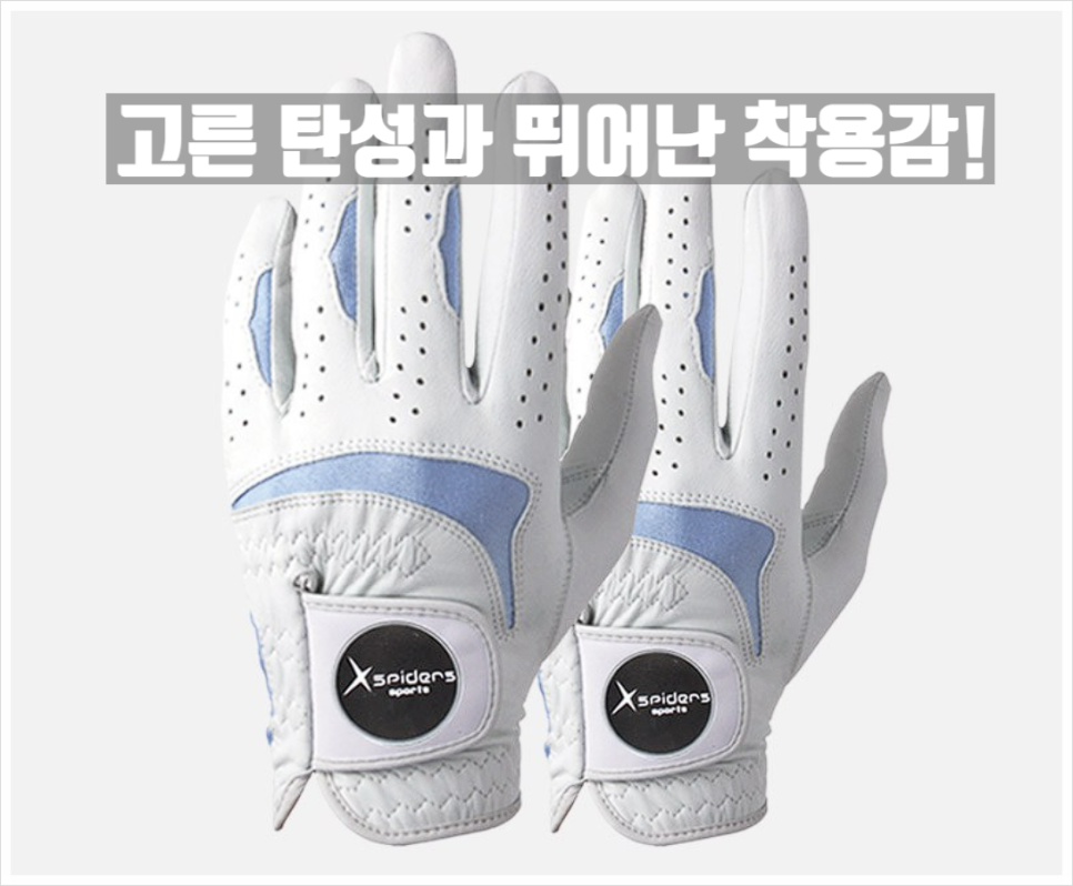 엑스올디자인 이미지