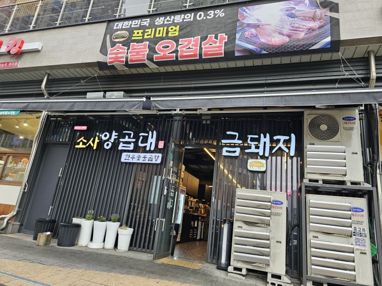 소사양곱대 이미지