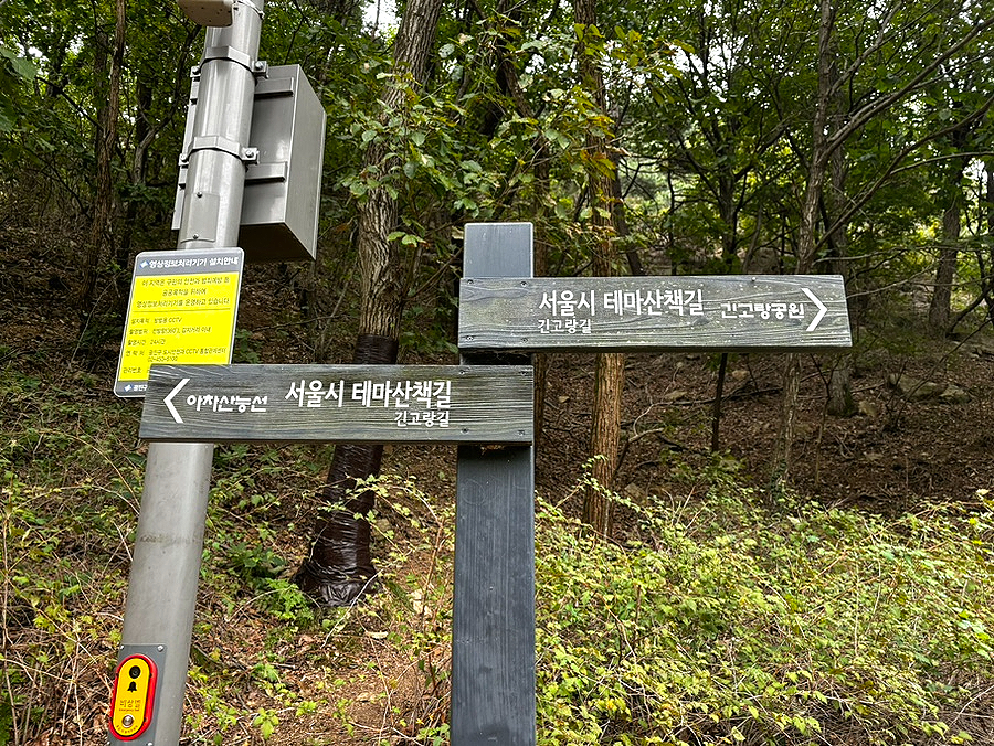 이돌영화사 이미지