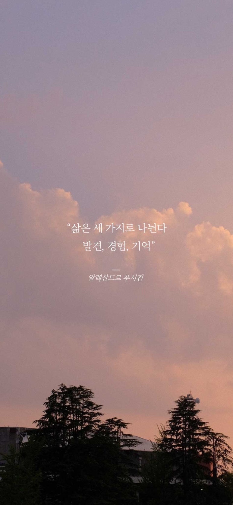 모닝클린 이미지