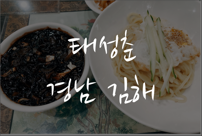 태성춘 이미지