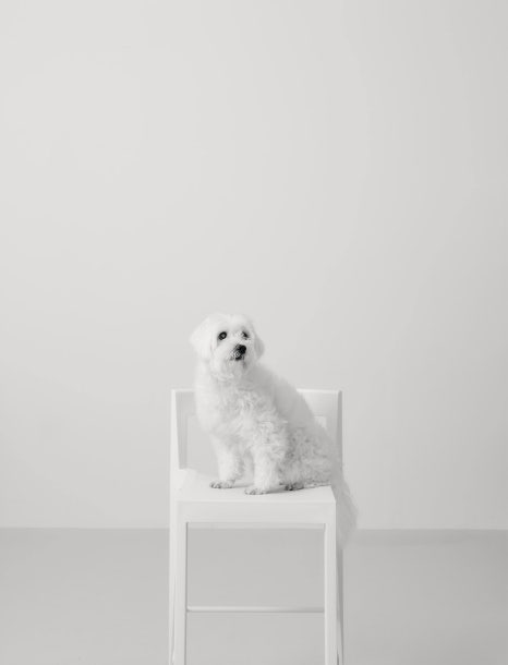 수풀스튜디오 이미지