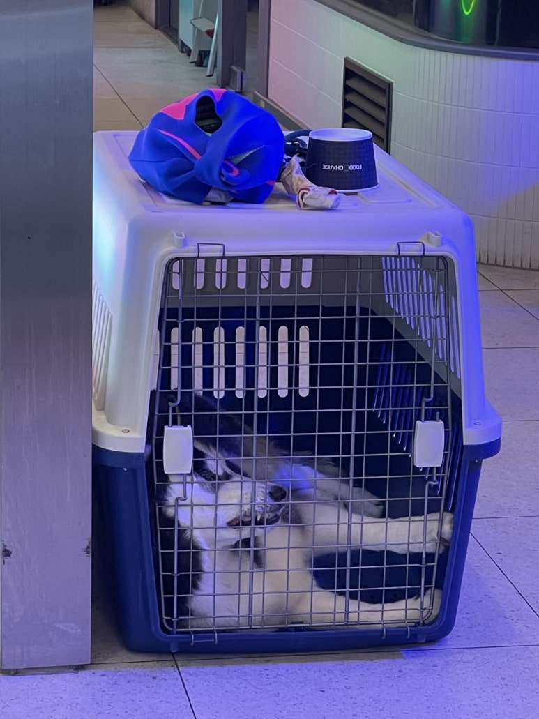 오즈아레나PC 이미지