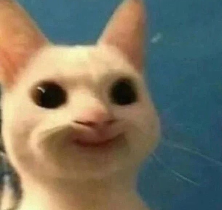 네일위시 이미지