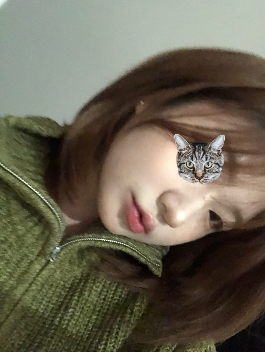 정스카 이미지