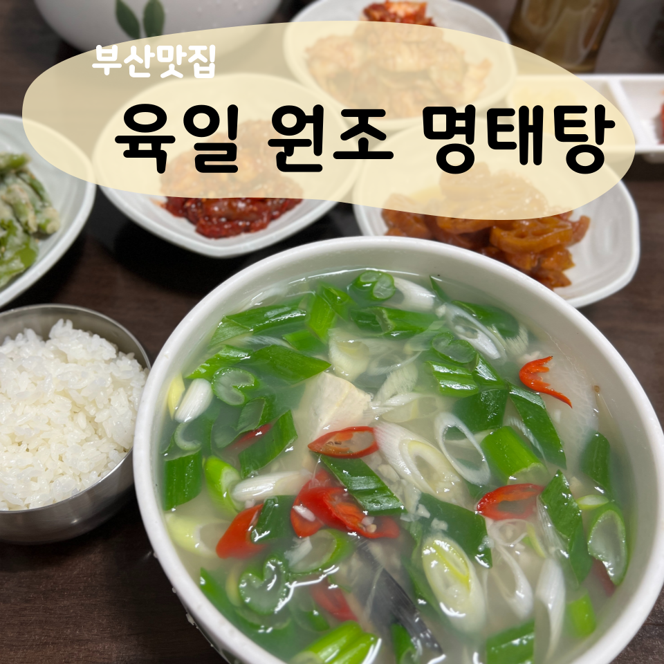 육일원조명태탕 이미지