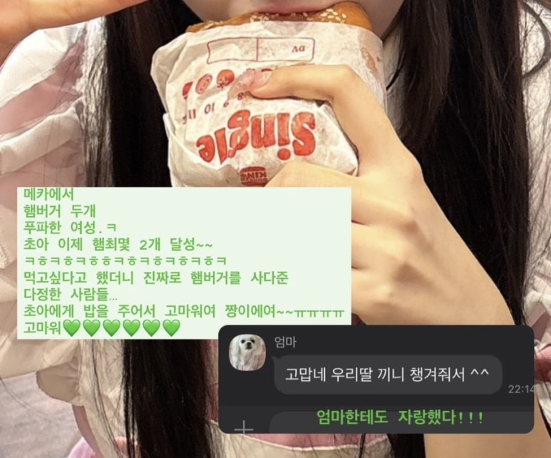 카메이드 이미지