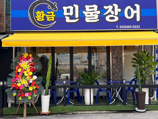 황금민물장어 이미지