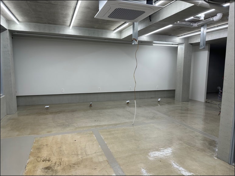 더비톤 이미지