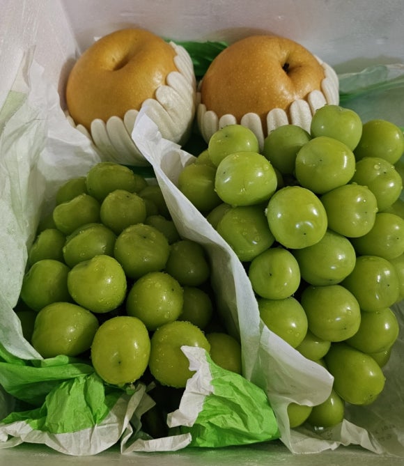 더드림농원 이미지