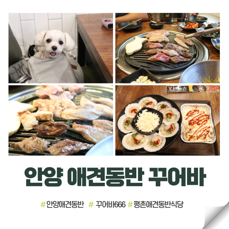 꾸어바 이미지