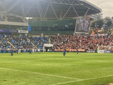 축구보는닭 이미지