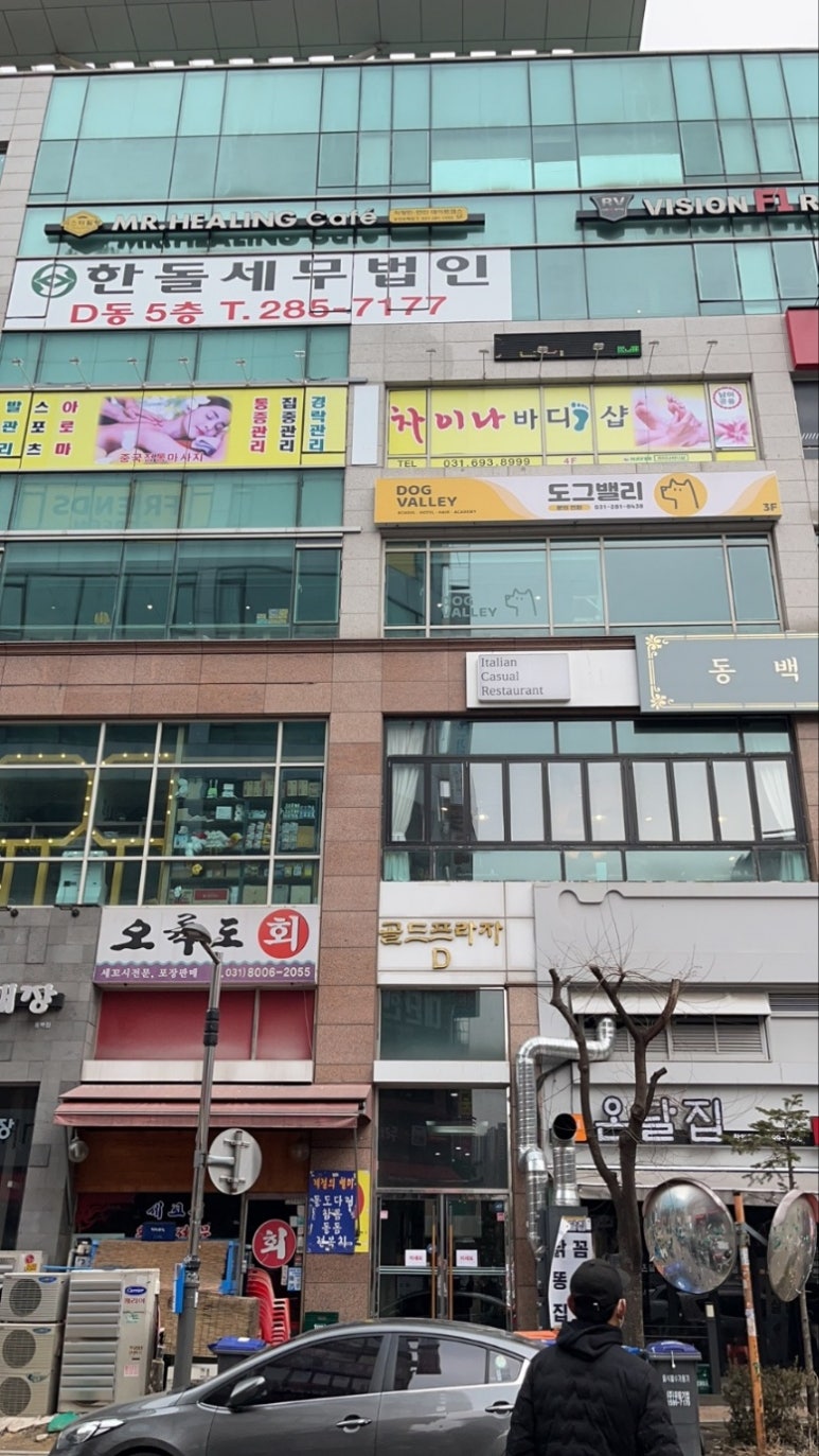 수차이나 이미지