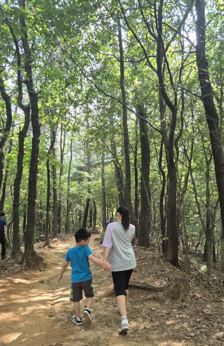 까꿍이네 이미지