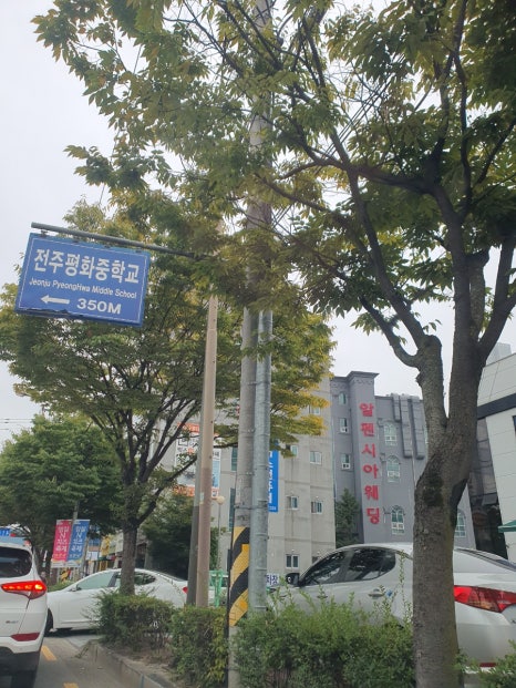 알펜시아앤코리아푸드 이미지