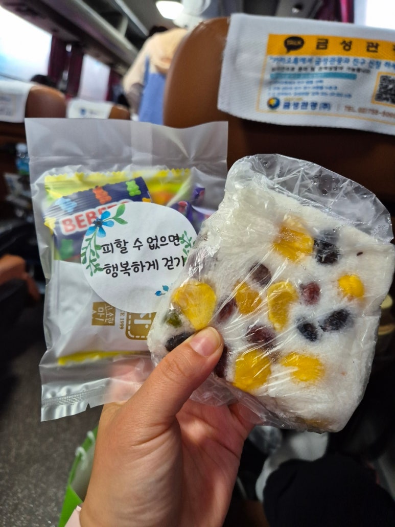 다리여행사 이미지