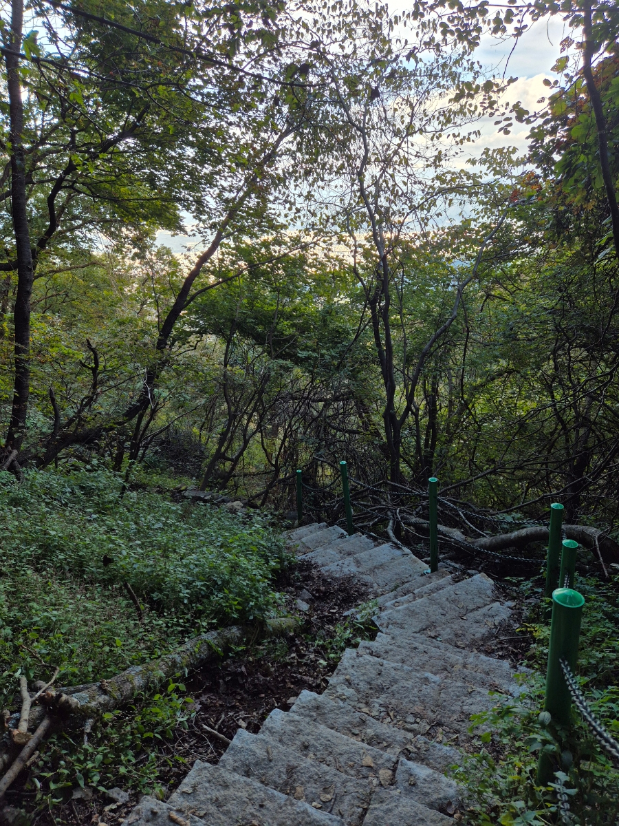 밧줄이용 하산 이미지