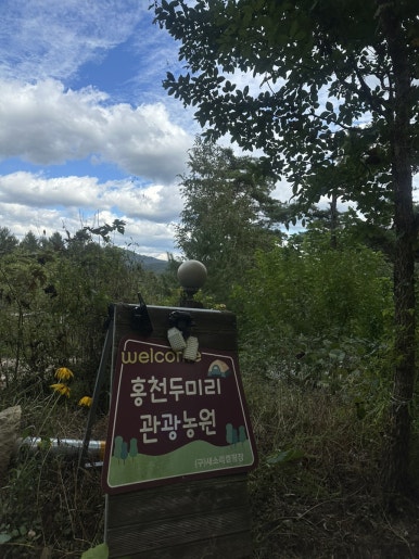 두미리관광농원 이미지