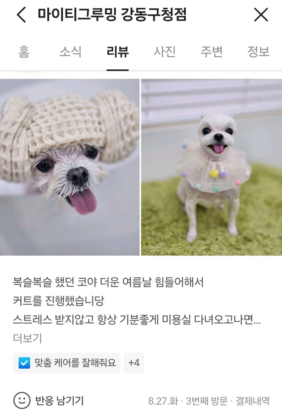마이티그루밍 이미지