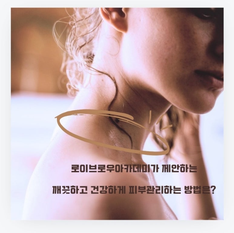 로이브로우아카데미 이미지