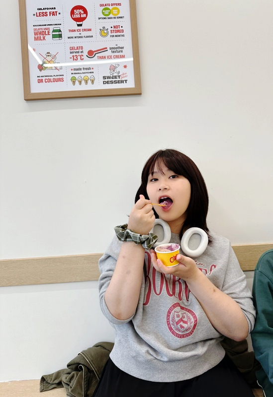 오셔젤라또 이미지