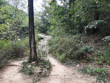 이돌영화사 이미지