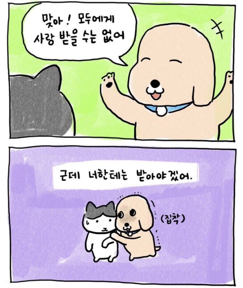 희주네 이미지