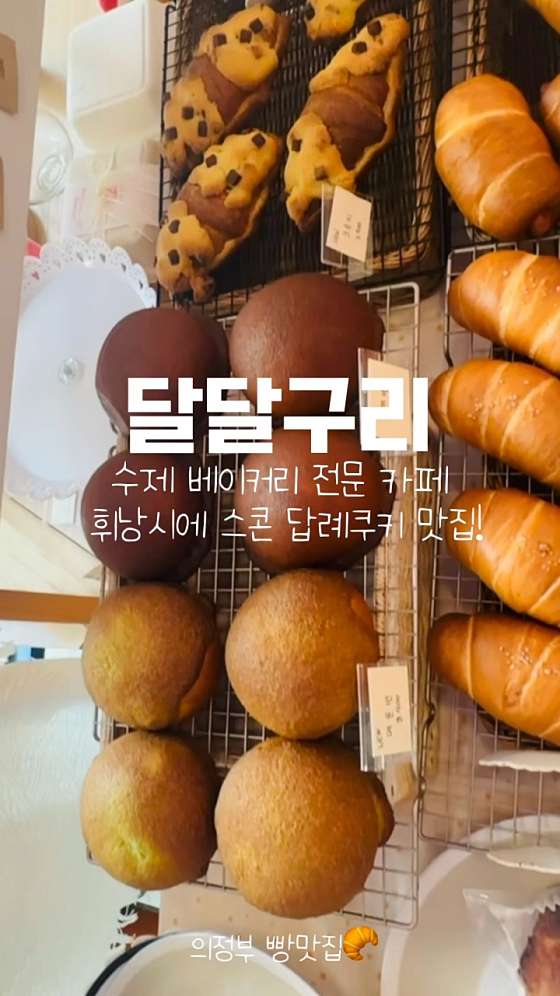 달달구리 이미지