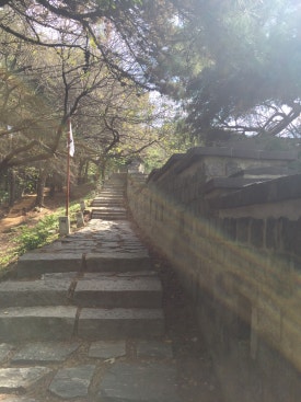 청달방 이미지