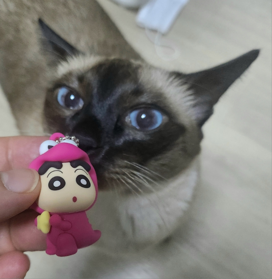 이디야커피여주 이미지